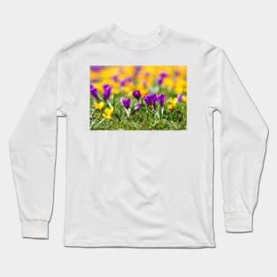 Meadow full of yellow and purple crocuses Long Sleeve T-Shirt
